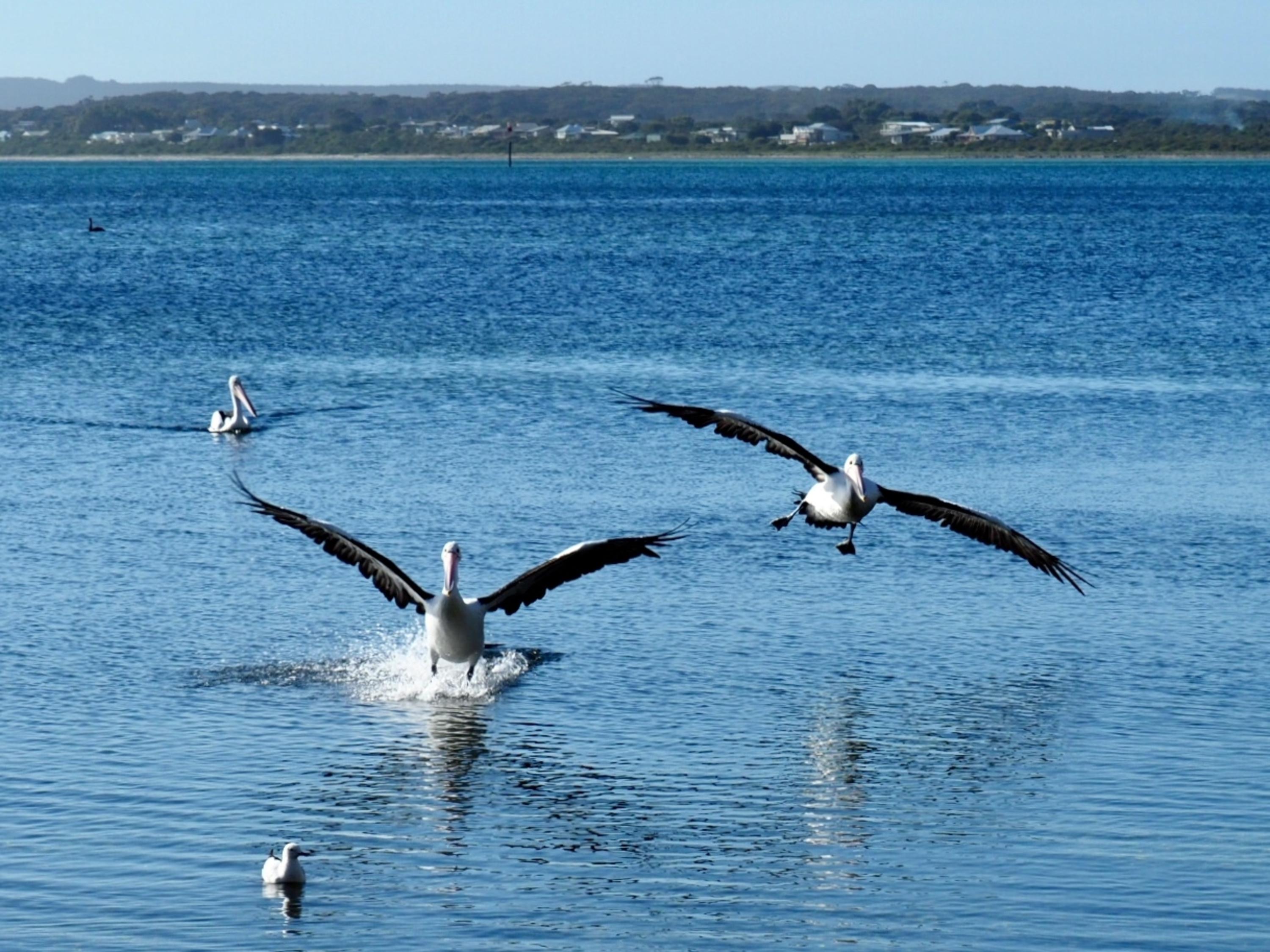 Mercure Kangaroo Island Lodge American River Εξωτερικό φωτογραφία