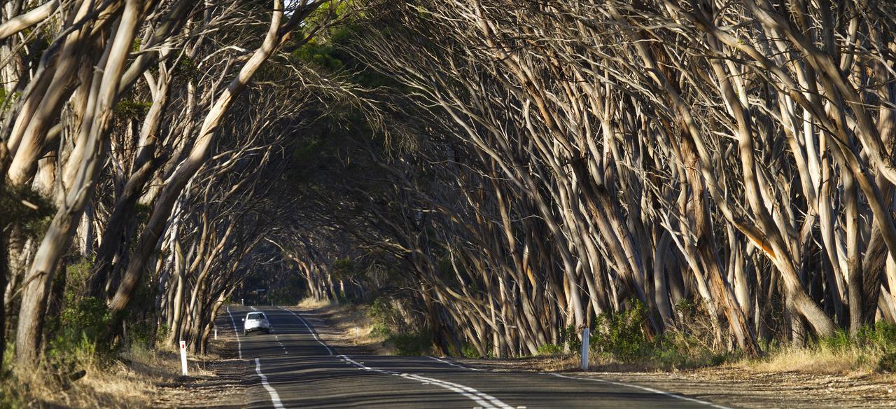 Mercure Kangaroo Island Lodge American River Εξωτερικό φωτογραφία
